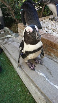 マリンワールド海の中道に投稿された画像（2020/10/18）