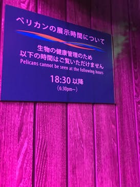 サンシャイン水族館に投稿された画像（2020/10/18）