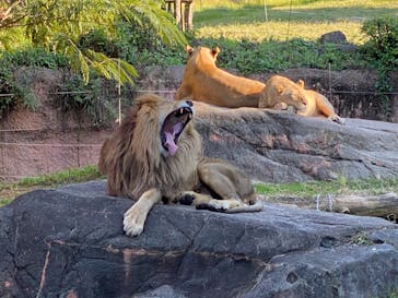 天王寺動物園に投稿された画像（2020/10/18）