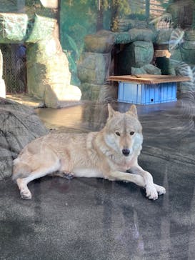 天王寺動物園に投稿された画像（2020/10/18）