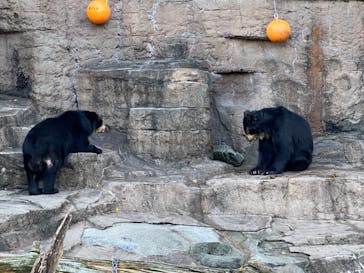 天王寺動物園に投稿された画像（2020/10/18）