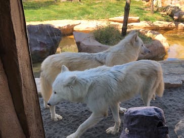 那須どうぶつ王国に投稿された画像（2020/10/18）