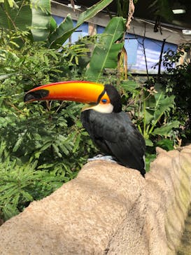 那須どうぶつ王国に投稿された画像（2020/10/18）