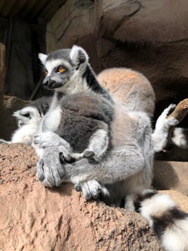 那須どうぶつ王国に投稿された画像（2020/10/18）