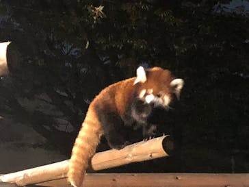 天王寺動物園に投稿された画像（2020/10/18）