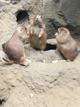 神戸どうぶつ王国に投稿された画像（2020/10/18）