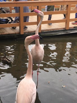 神戸どうぶつ王国に投稿された画像（2020/10/18）