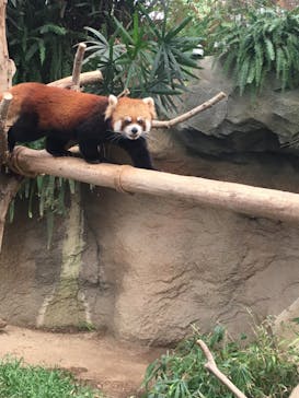 神戸どうぶつ王国に投稿された画像（2020/10/18）