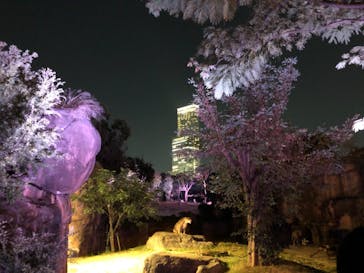 天王寺動物園に投稿された画像（2020/10/18）