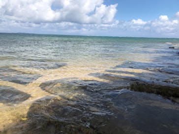 西表島 ADVENTURE PiPi（アドベンチャーピピ）に投稿された画像（2020/10/18）