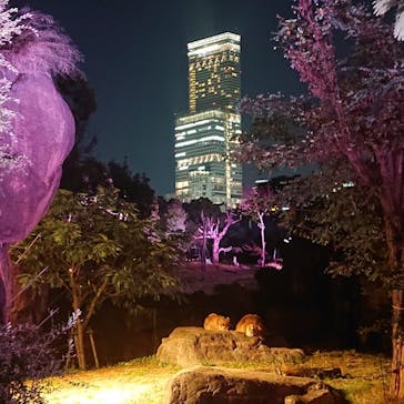 天王寺動物園に投稿された画像（2020/10/18）