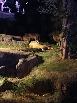 天王寺動物園に投稿された画像（2020/10/18）