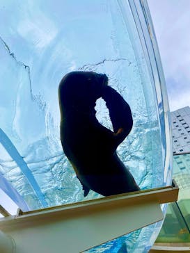 サンシャイン水族館に投稿された画像（2020/10/18）