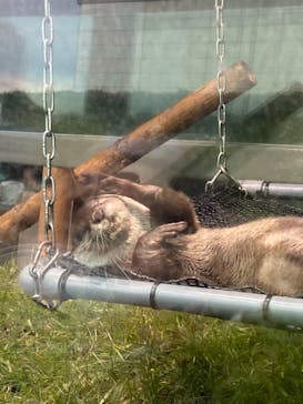 サンシャイン水族館に投稿された画像（2020/10/18）