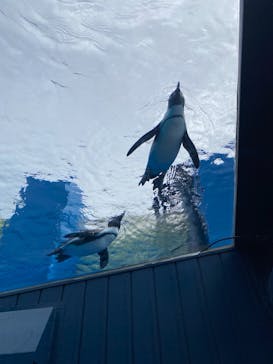 サンシャイン水族館に投稿された画像（2020/10/18）