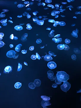 すみだ水族館に投稿された画像（2020/10/18）