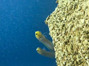 株式会社Gに投稿された画像（2020/10/18）