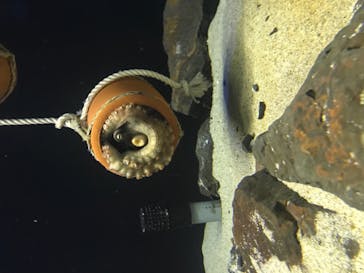 株式会社Gに投稿された画像（2020/10/18）