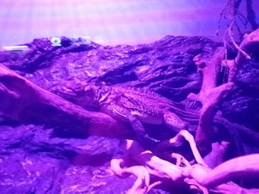 サンシャイン水族館に投稿された画像（2020/10/18）