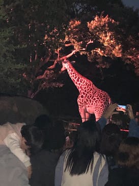 天王寺動物園に投稿された画像（2020/10/18）