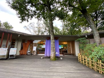 モダン湯治 おんりーゆーに投稿された画像（2020/10/18）