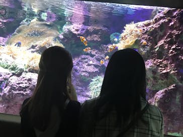 サンシャイン水族館に投稿された画像（2020/10/18）