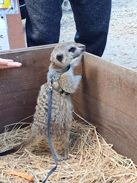 しろとり動物園に投稿された画像（2020/10/18）