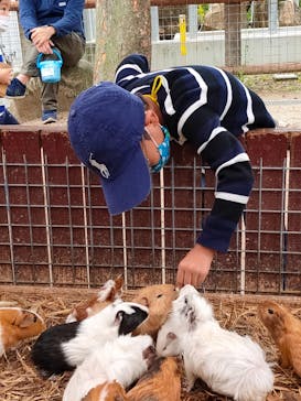 しろとり動物園に投稿された画像（2020/10/18）