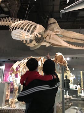 国立科学博物館に投稿された画像（2020/10/18）