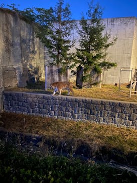 天王寺動物園に投稿された画像（2020/10/18）