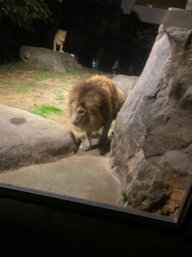 天王寺動物園に投稿された画像（2020/10/18）