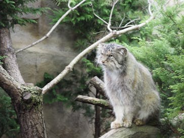 那須どうぶつ王国に投稿された画像（2020/10/18）