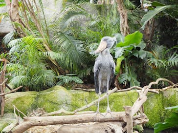 那須どうぶつ王国に投稿された画像（2020/10/18）