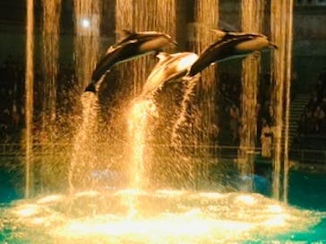 マクセル アクアパーク品川に投稿された画像（2020/10/18）