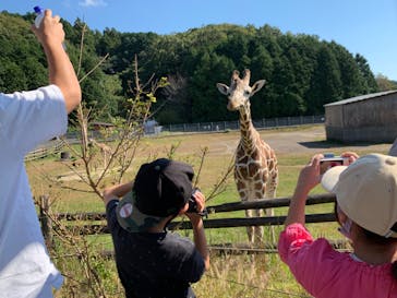 秋吉台自然動物公園 サファリランドに投稿された画像（2020/10/18）