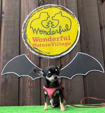 わんダフルネイチャーヴィレッジに投稿された画像（2020/10/19）