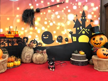 わんダフルネイチャーヴィレッジに投稿された画像（2020/10/19）