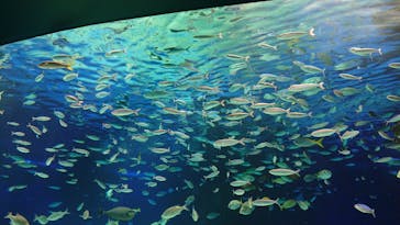 サンシャイン水族館に投稿された画像（2020/10/19）