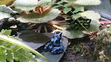 サンシャイン水族館に投稿された画像（2020/10/19）