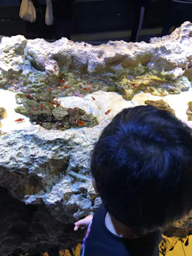 すみだ水族館に投稿された画像（2020/10/19）