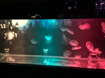 すみだ水族館に投稿された画像（2020/10/19）