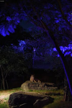 天王寺動物園に投稿された画像（2020/10/19）