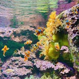 サンシャイン水族館に投稿された画像（2020/10/19）