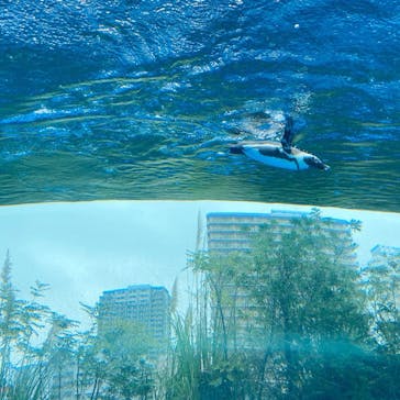 サンシャイン水族館に投稿された画像（2020/10/19）