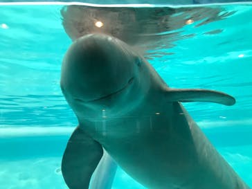 マリンワールド海の中道に投稿された画像（2020/10/19）