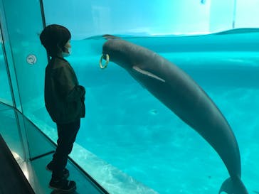 マリンワールド海の中道に投稿された画像（2020/10/19）