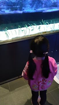 すみだ水族館に投稿された画像（2020/10/19）