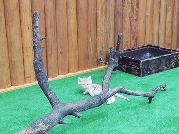 神戸どうぶつ王国に投稿された画像（2020/10/19）