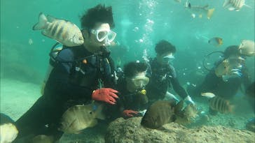 武藤潜水に投稿された画像（2020/10/19）