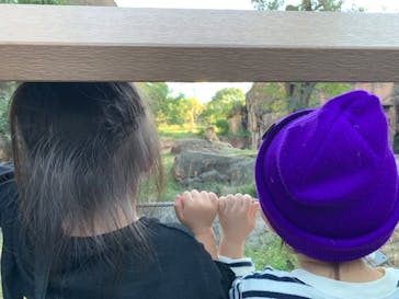 天王寺動物園に投稿された画像（2020/10/19）